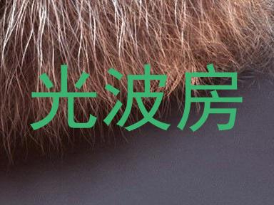 光波房