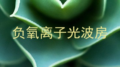 负氧离子光波房