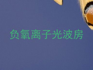 负氧离子光波房