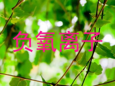 负氧离子