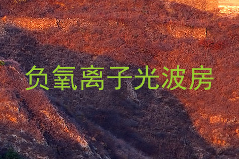 负氧离子光波房