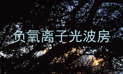 负氧离子光波房