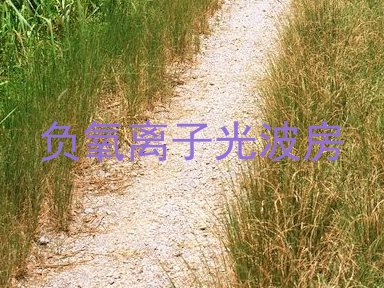 负氧离子光波房