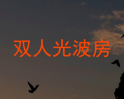 双人光波房