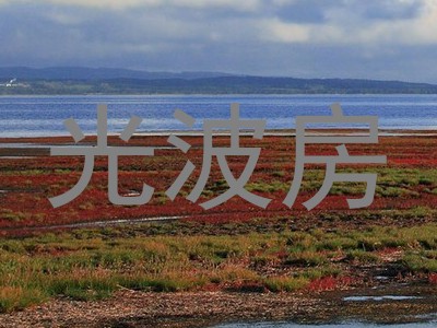 光波房