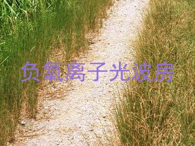 负氧离子光波房