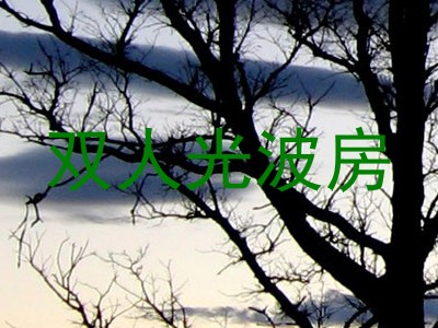 双人光波房