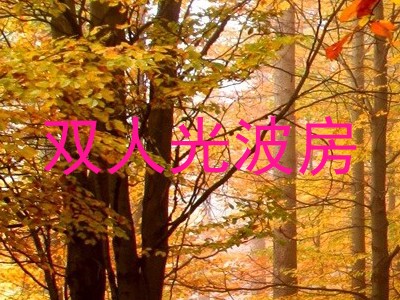 双人光波房