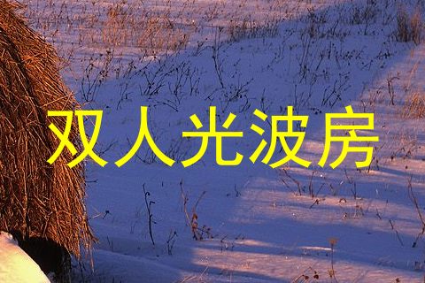 双人光波房