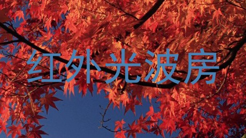 红外光波房