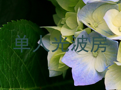 单人光波房