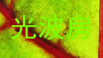 光波房