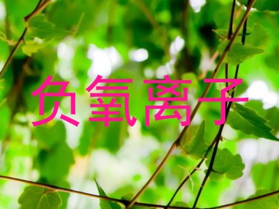 负氧离子