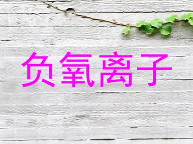 负氧离子