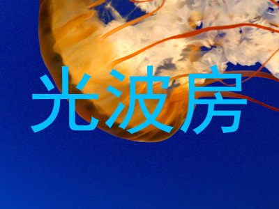 光波房