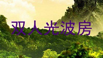 双人光波房