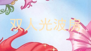 双人光波房