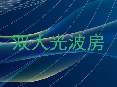 双人光波房