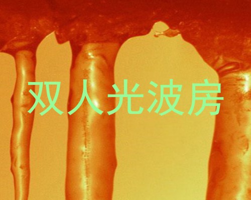 双人光波房