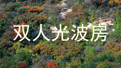 双人光波房