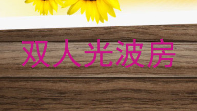 双人光波房