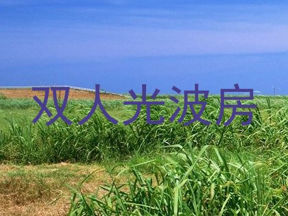 双人光波房