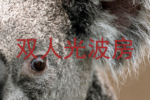 双人光波房