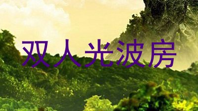 双人光波房