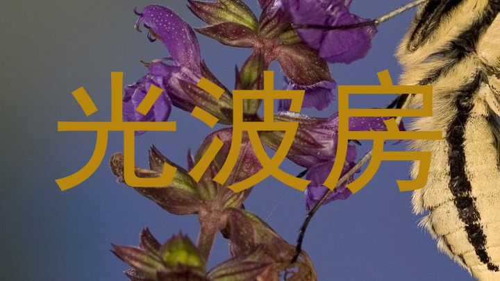 光波房