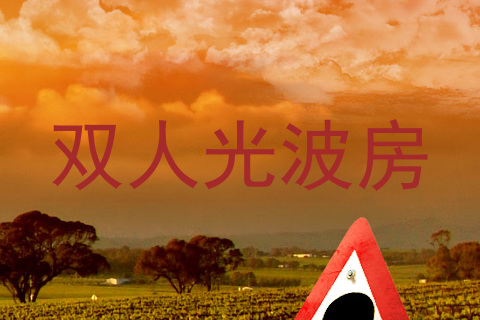 双人光波房