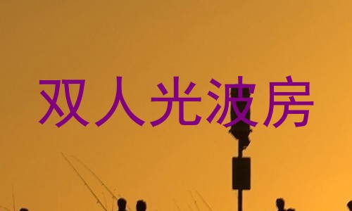 双人光波房