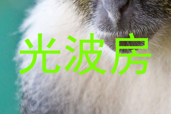 光波房