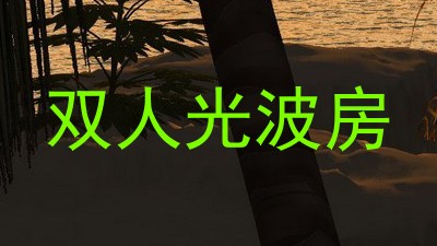 双人光波房