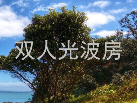 双人光波房
