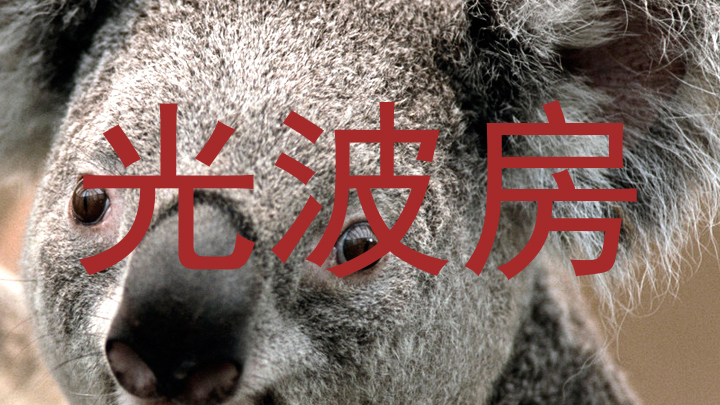 光波房