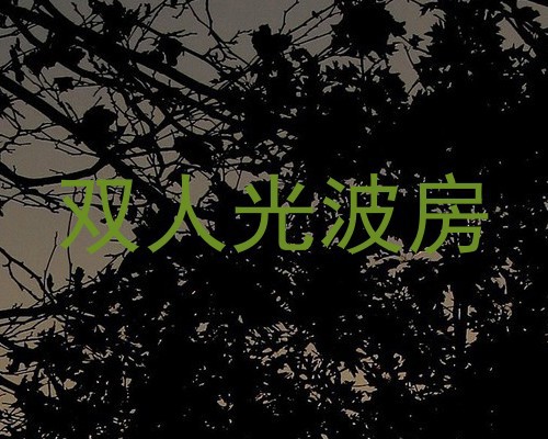 双人光波房