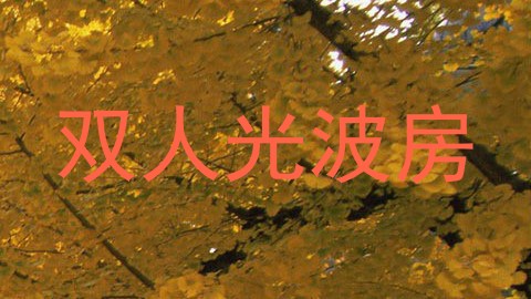 双人光波房