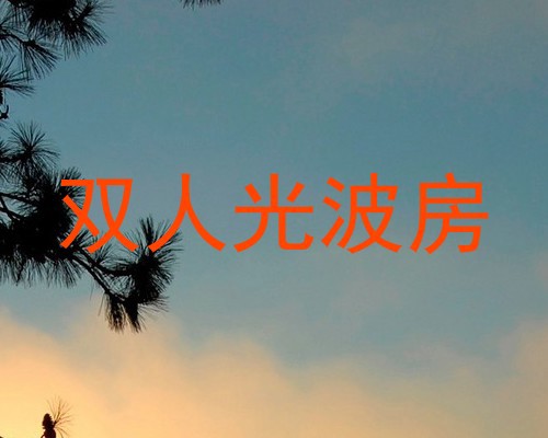 双人光波房