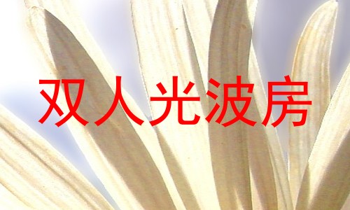 双人光波房