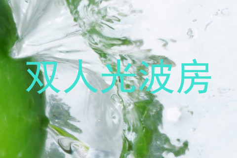 双人光波房