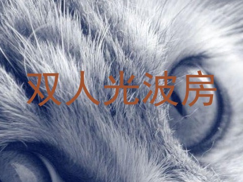 双人光波房