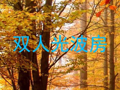 双人光波房