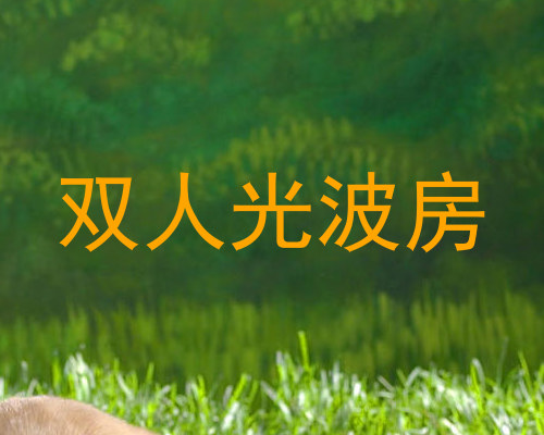 双人光波房