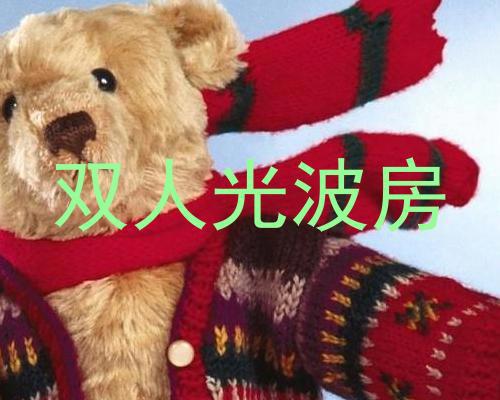 双人光波房