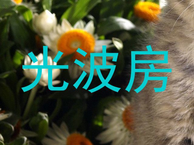 光波房