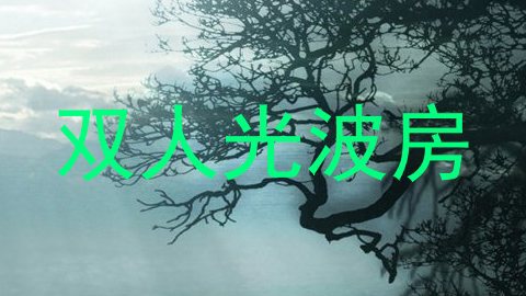 双人光波房