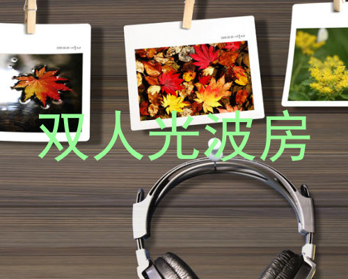 双人光波房