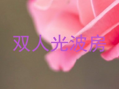 双人光波房