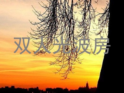 双人光波房