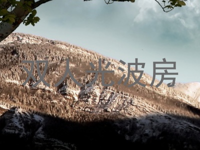 双人光波房